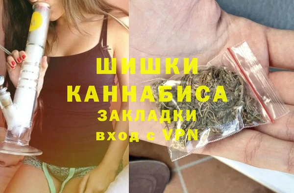 крисы Куйбышев