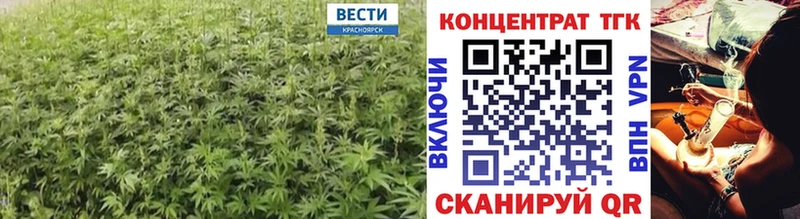как найти закладки  Нижняя Салда  ТГК концентрат 