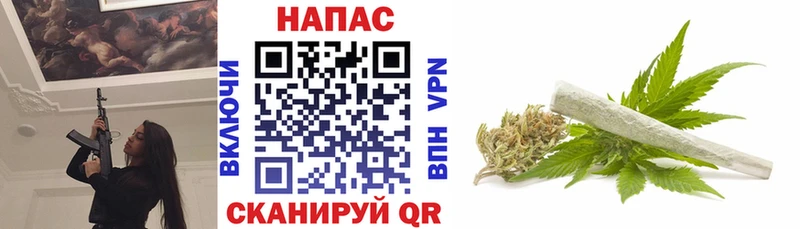 Канабис гибрид  Нижняя Салда 